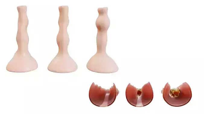 Peristalsis Function 3D model 5