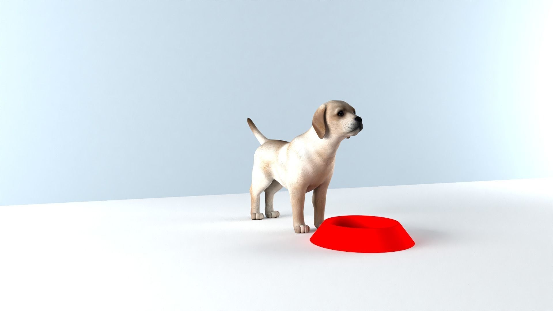 FOOD BOWL Plastic Bowl 3D model For Cat And Dog  3D print model_2