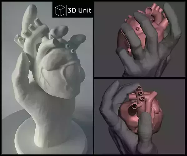 Heart in hand 3D print model