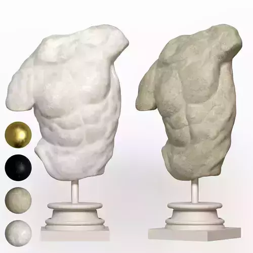 Male Torso Decor Set 25 