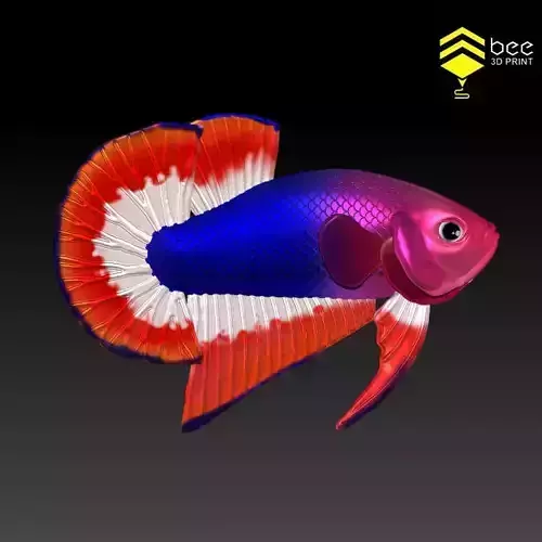 Betta Fish 2 - Ready for 3D print 3D print model