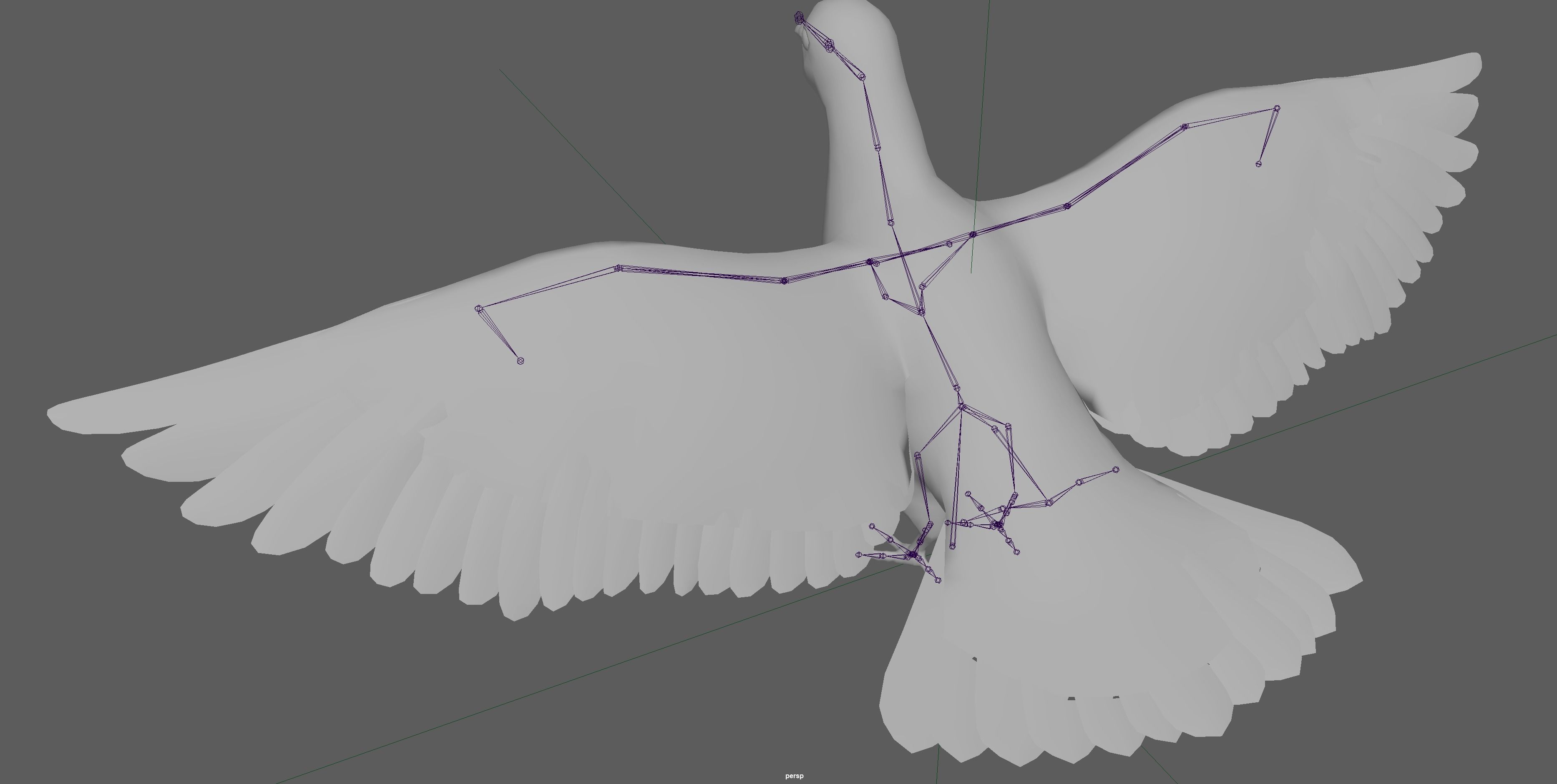 Dove White Pigeon  Low-poly 3D model_21