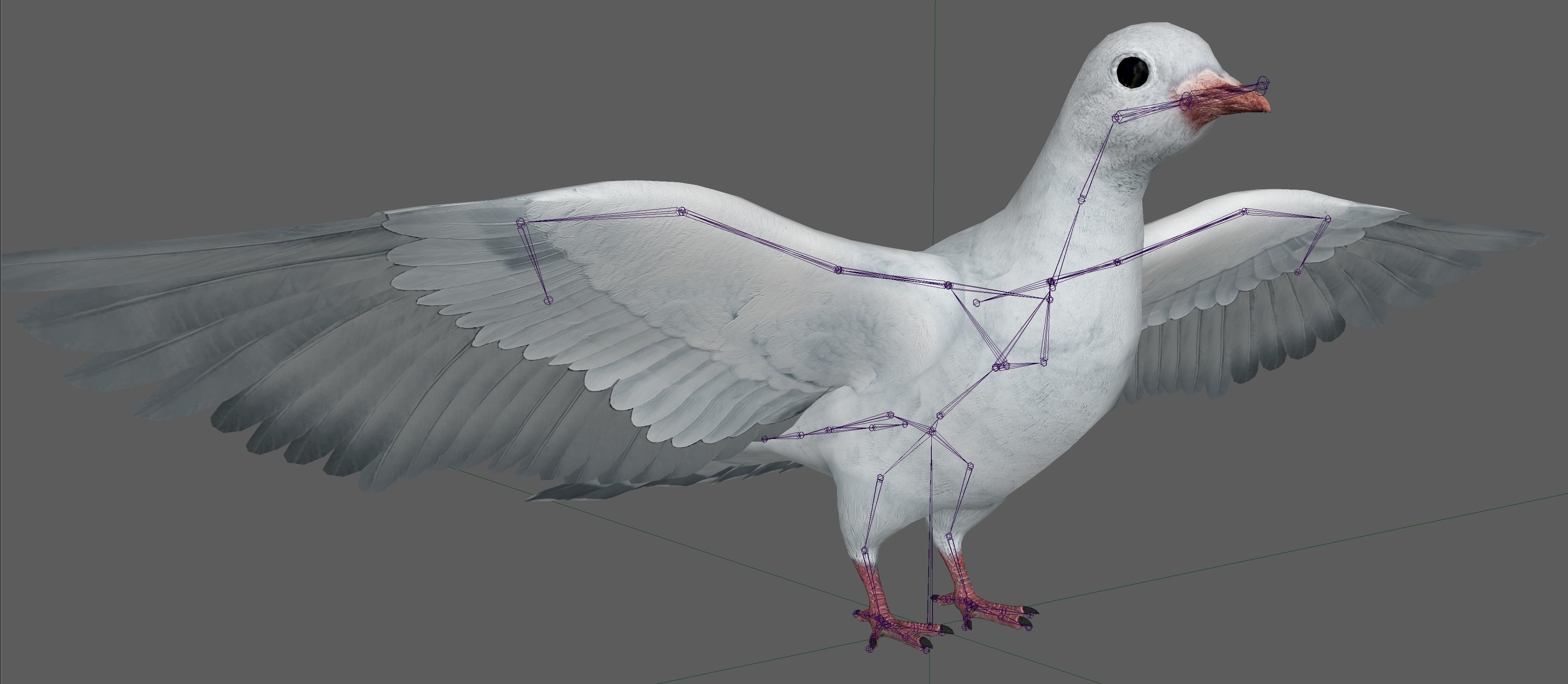 Dove White Pigeon  Low-poly 3D model_18