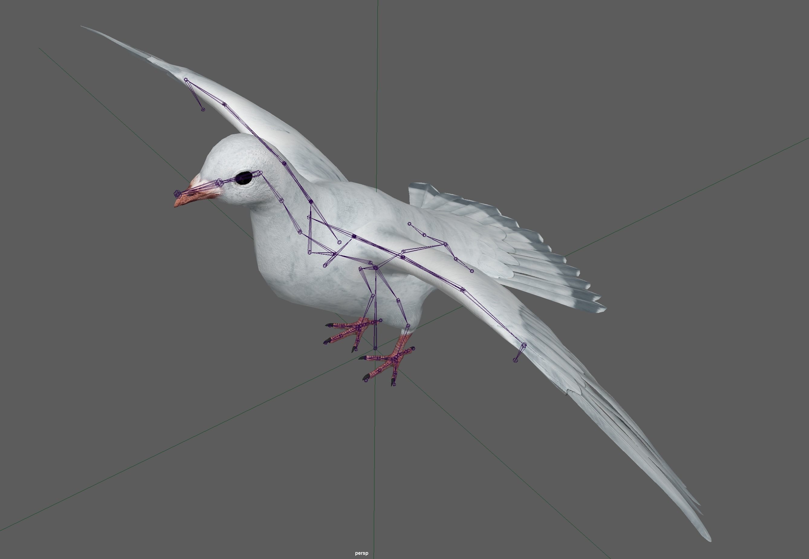 Dove White Pigeon  Low-poly 3D model_10
