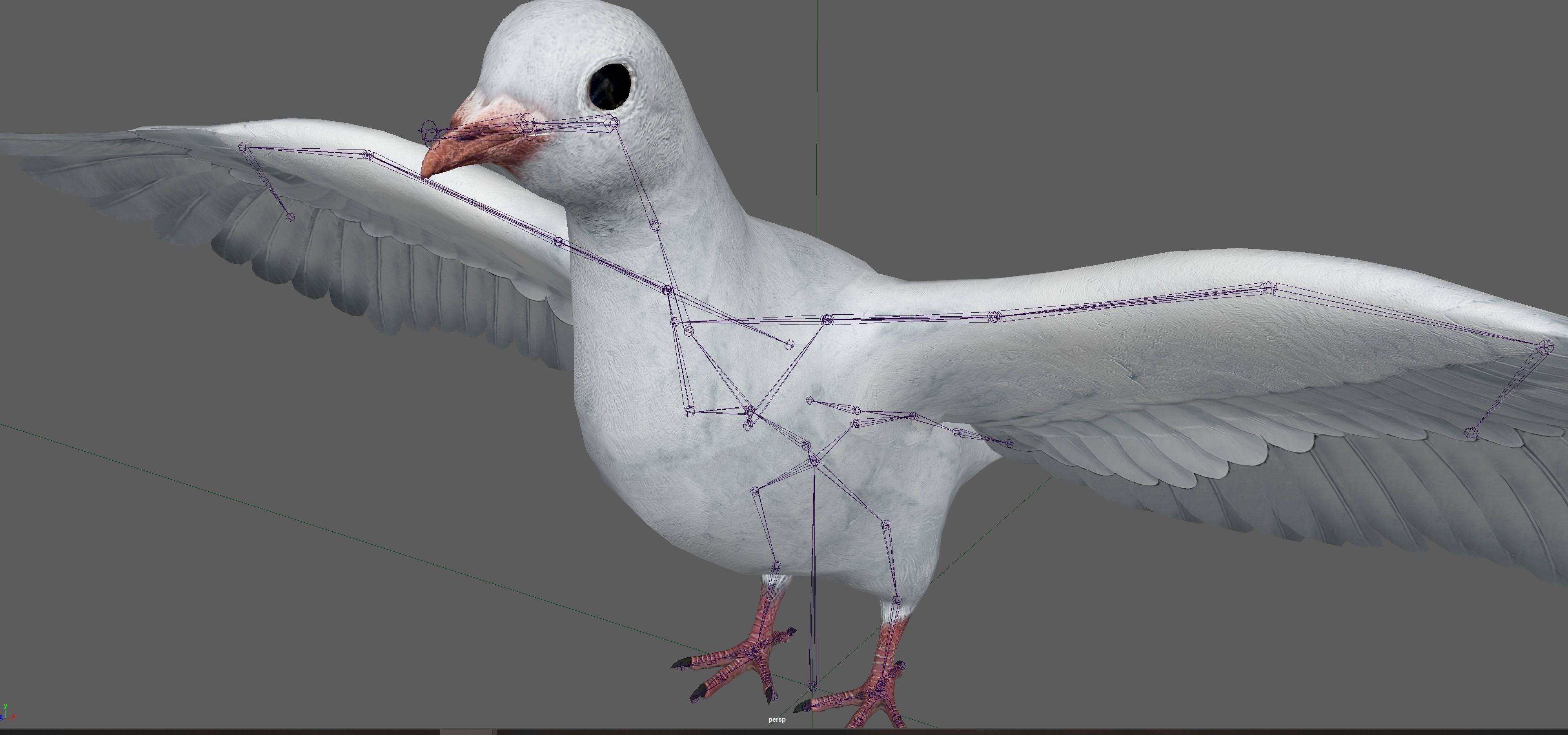 Dove White Pigeon  Low-poly 3D model_17