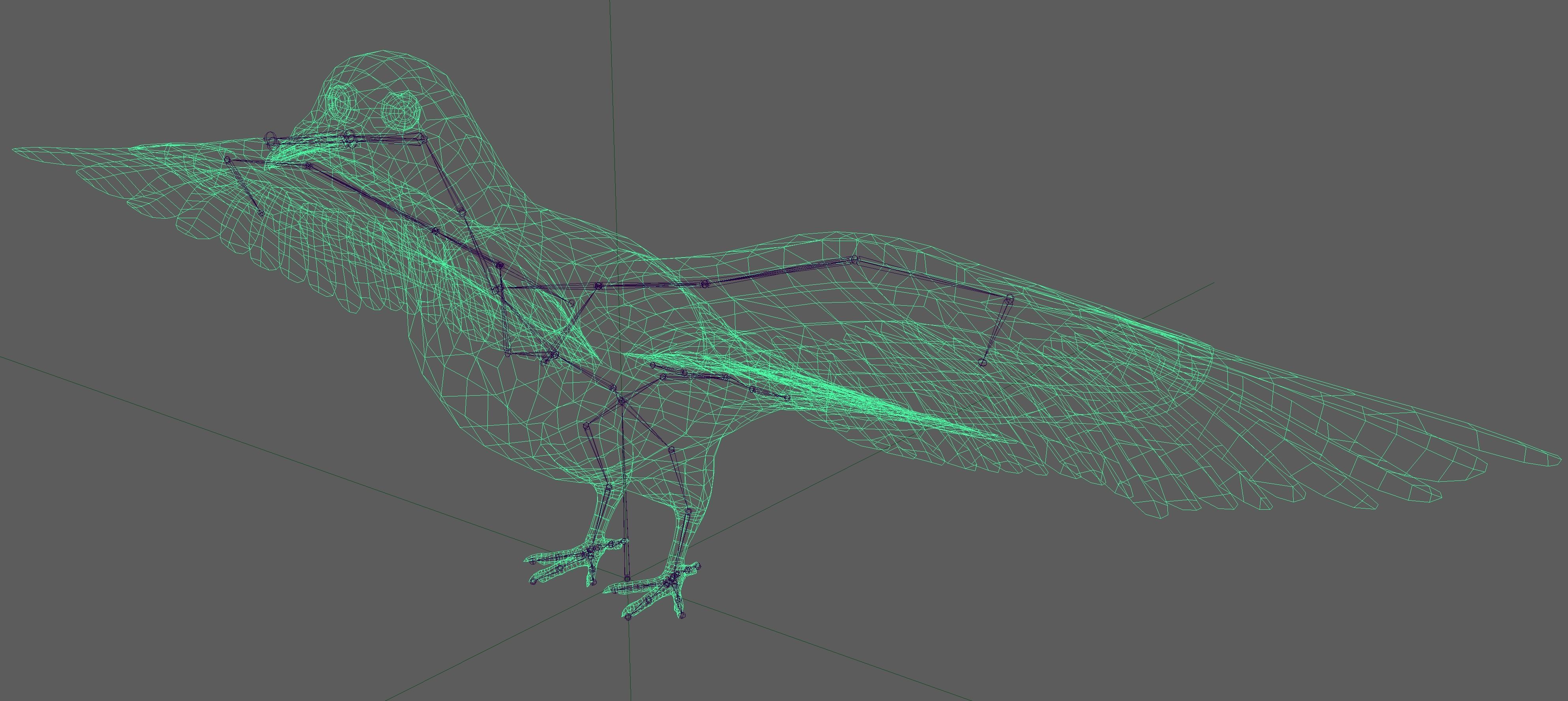 Dove White Pigeon  Low-poly 3D model_15