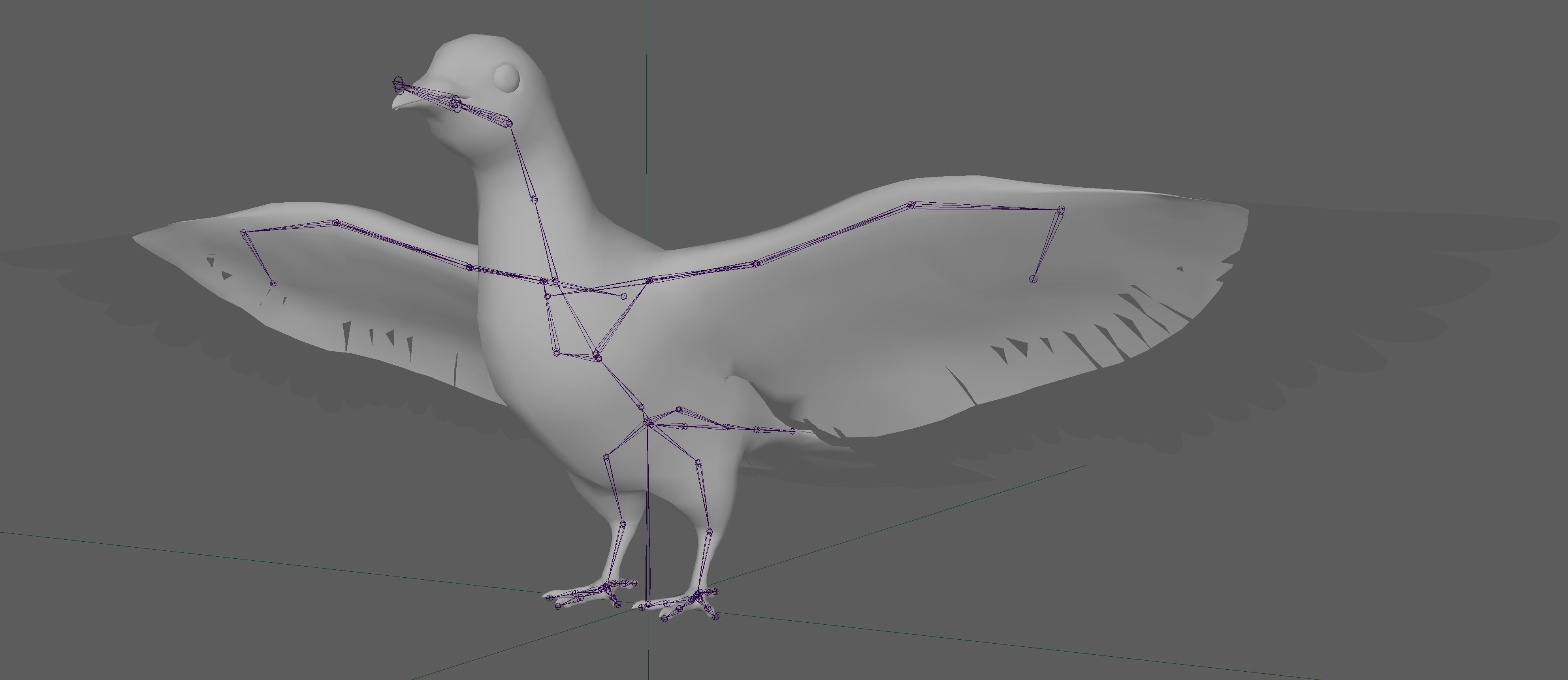 Dove White Pigeon  Low-poly 3D model_8