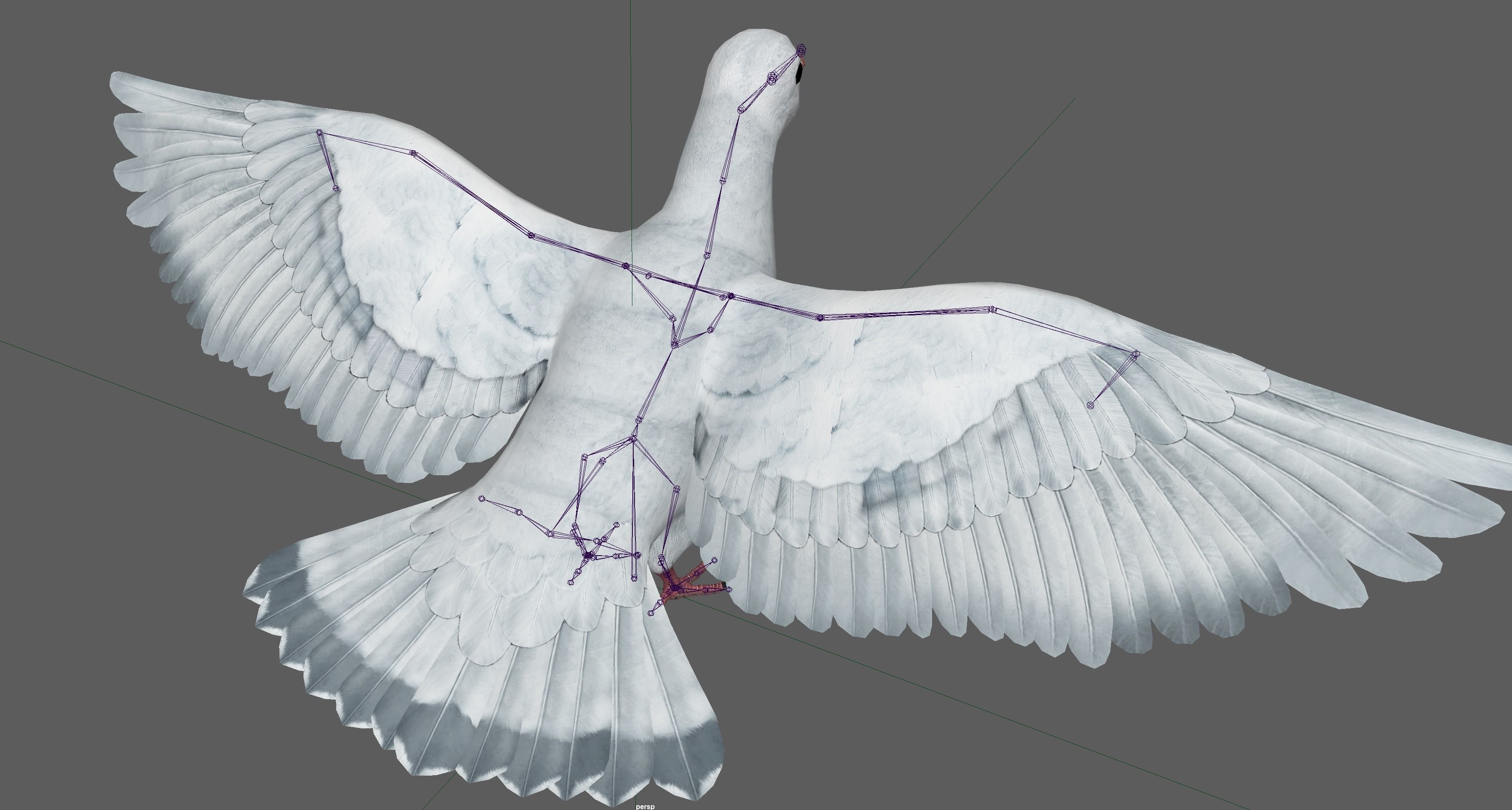 Dove White Pigeon  Low-poly 3D model_20