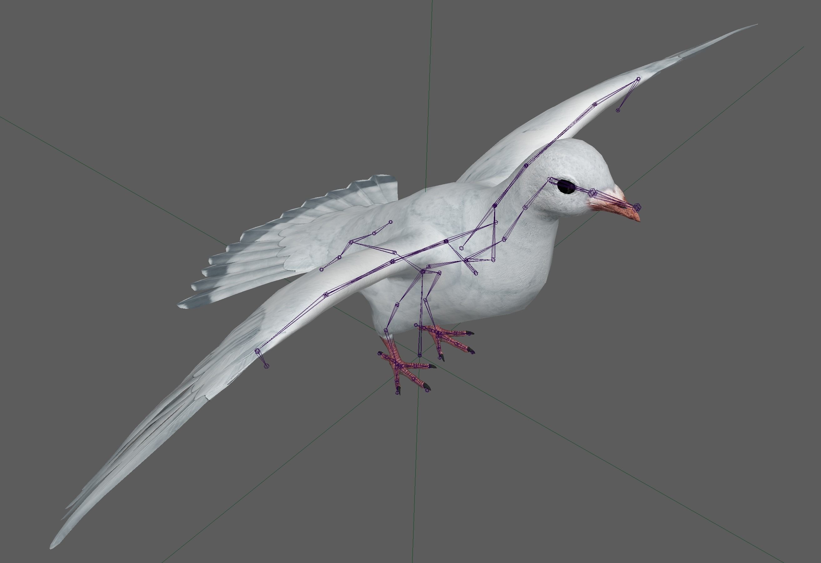 Dove White Pigeon  Low-poly 3D model_11
