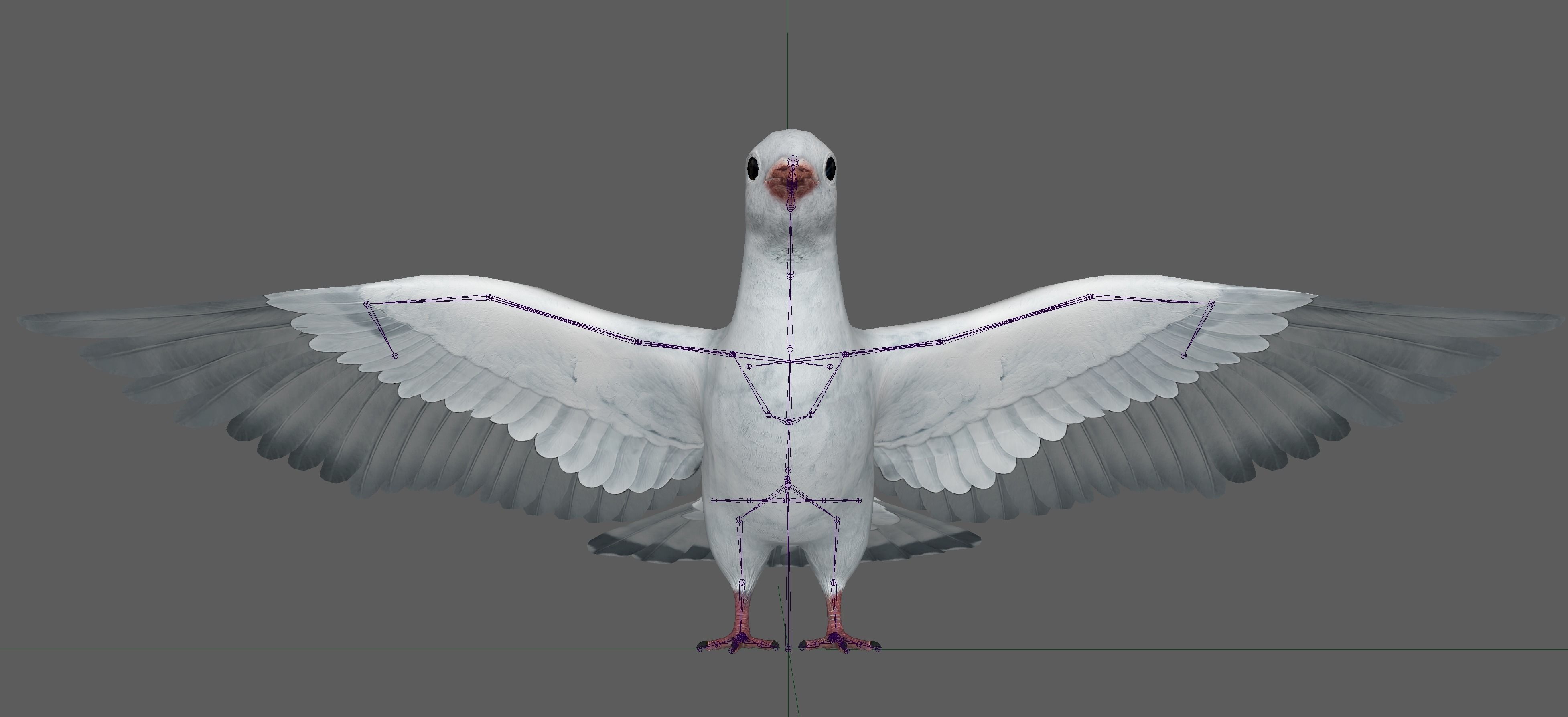 Dove White Pigeon  Low-poly 3D model_16