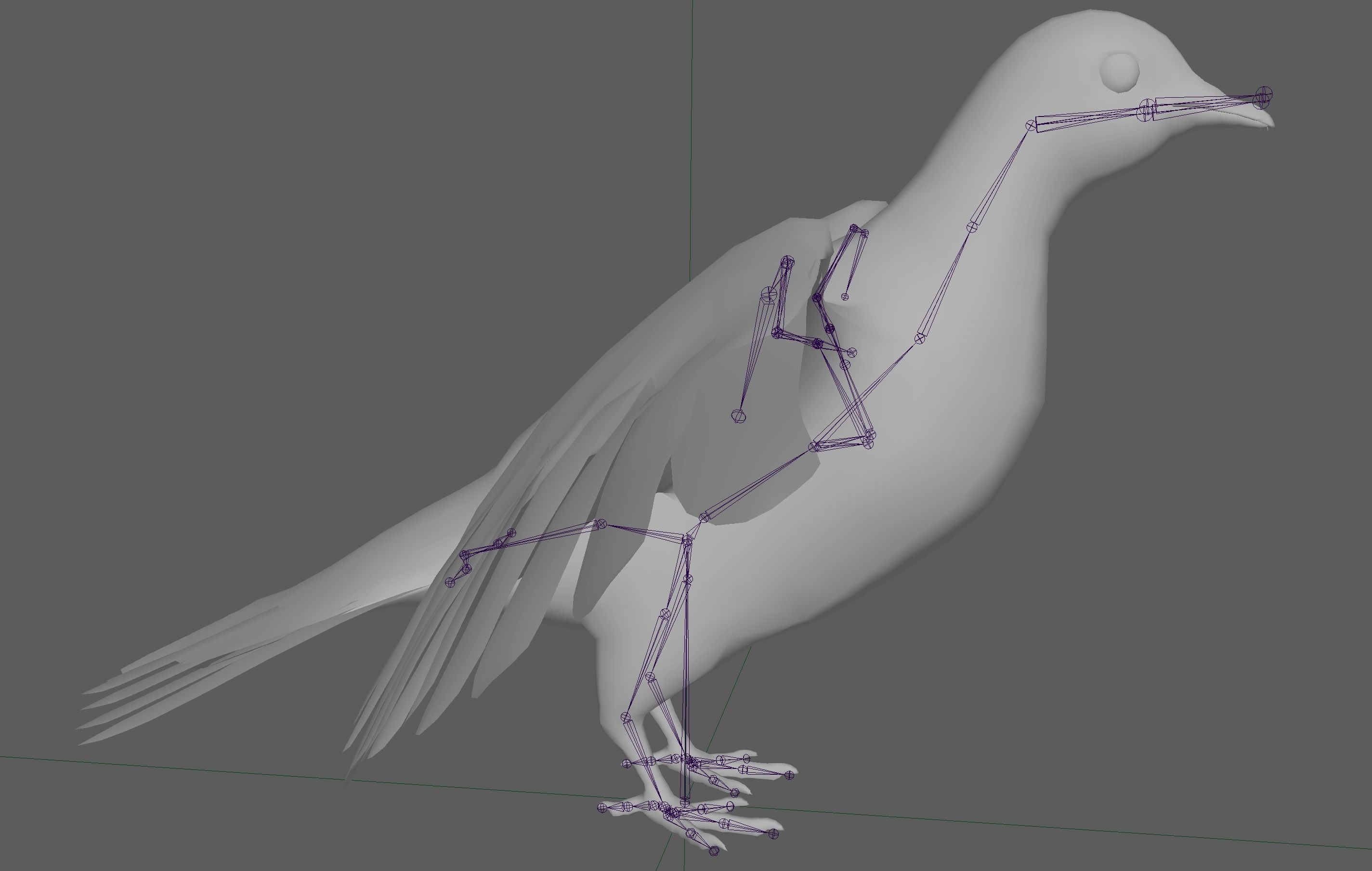 Dove White Pigeon  Low-poly 3D model_19