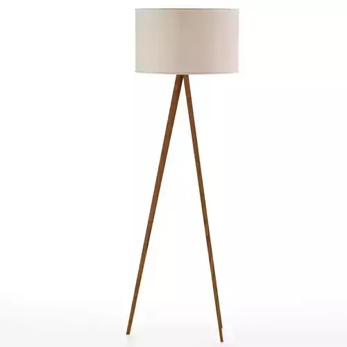 Axson Wood Floor Lamp 1 3D model