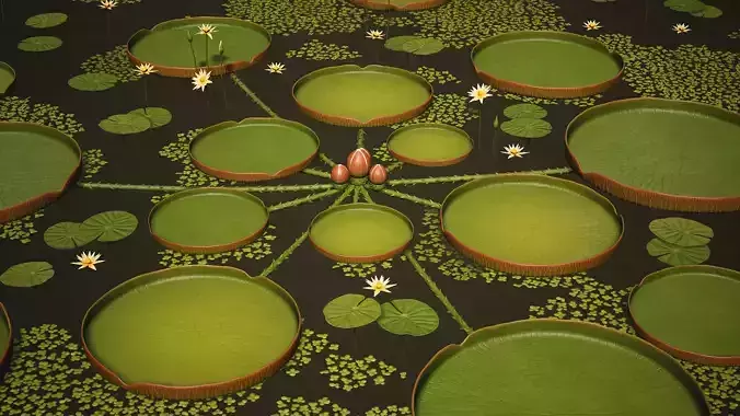 Water Plants and Flowers Low-poly 3D model