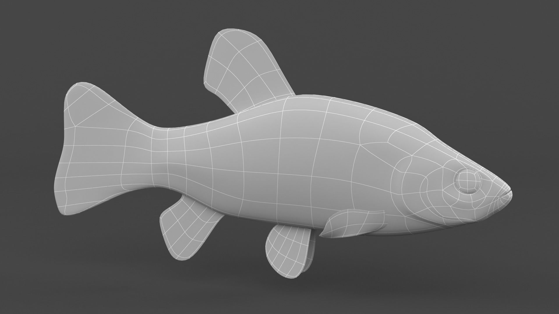 Tench Fish 3D model_7