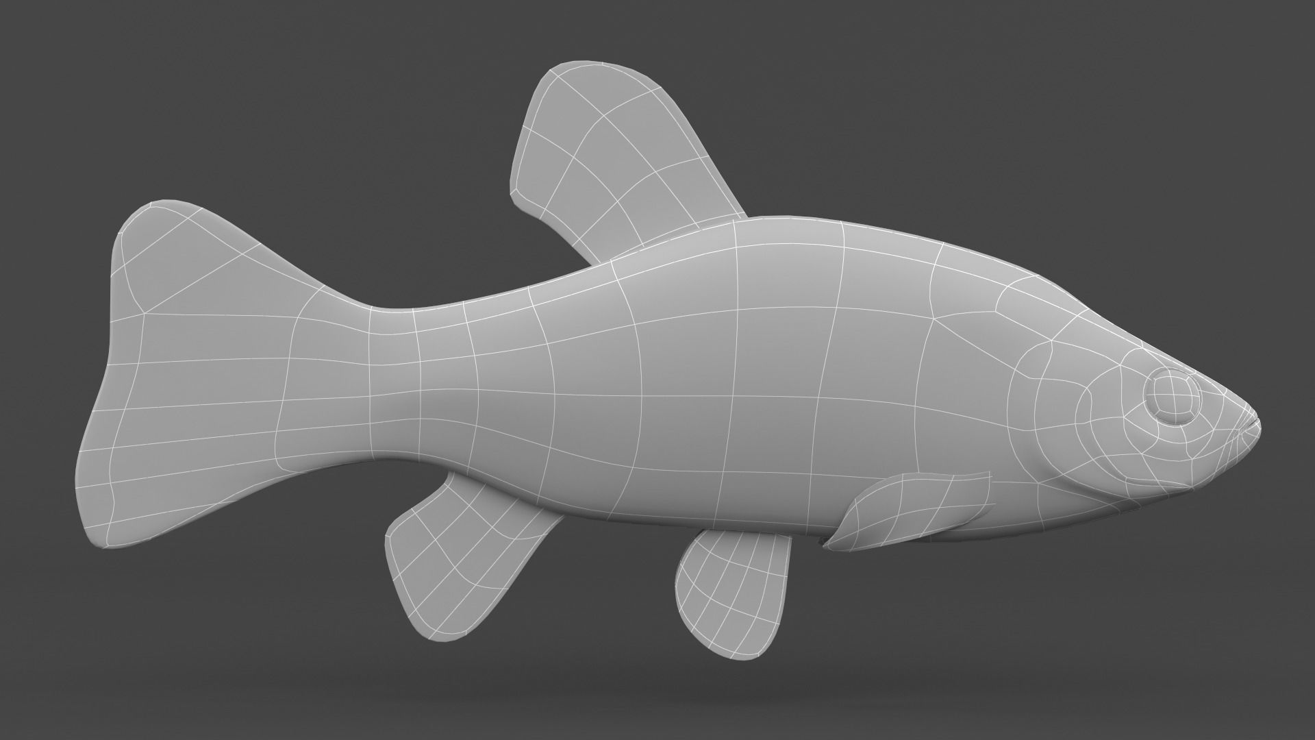 Tench Fish 3D model_6