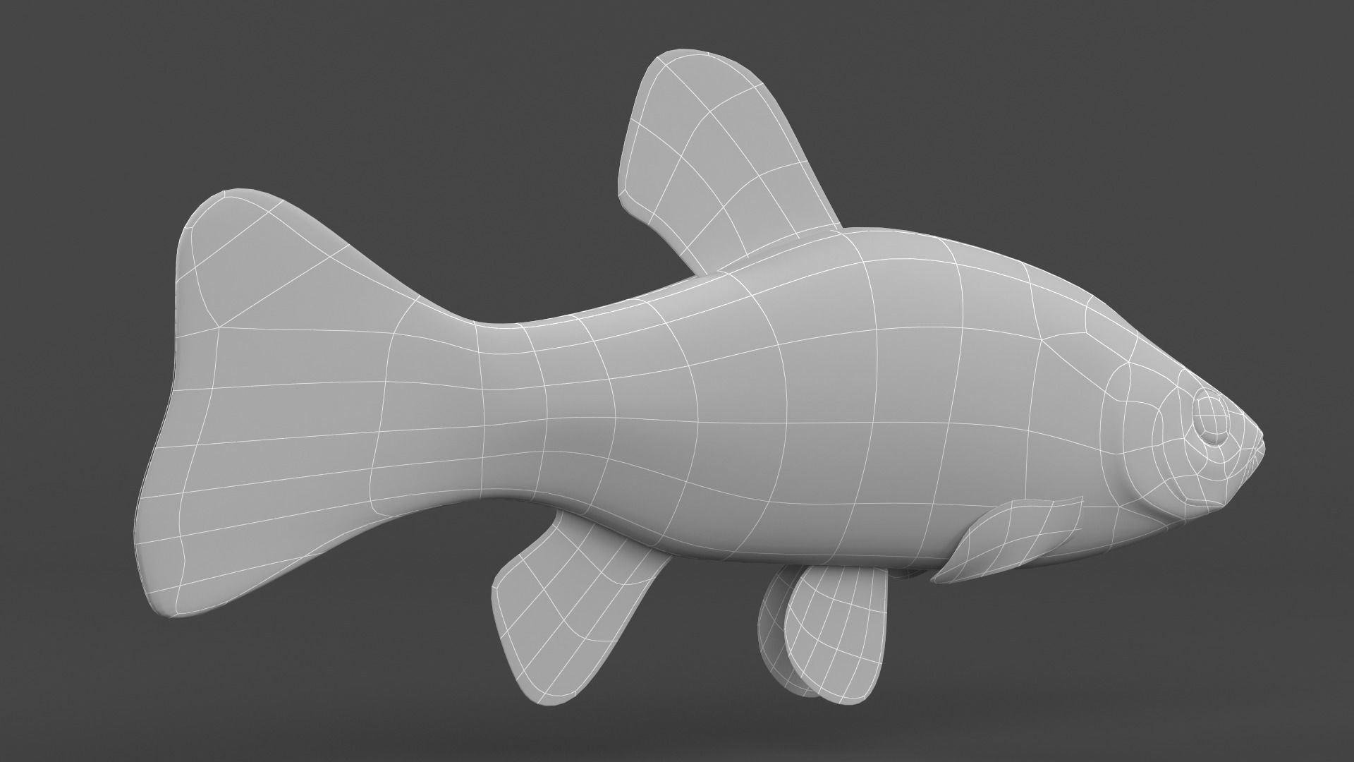 Tench Fish 3D model_9