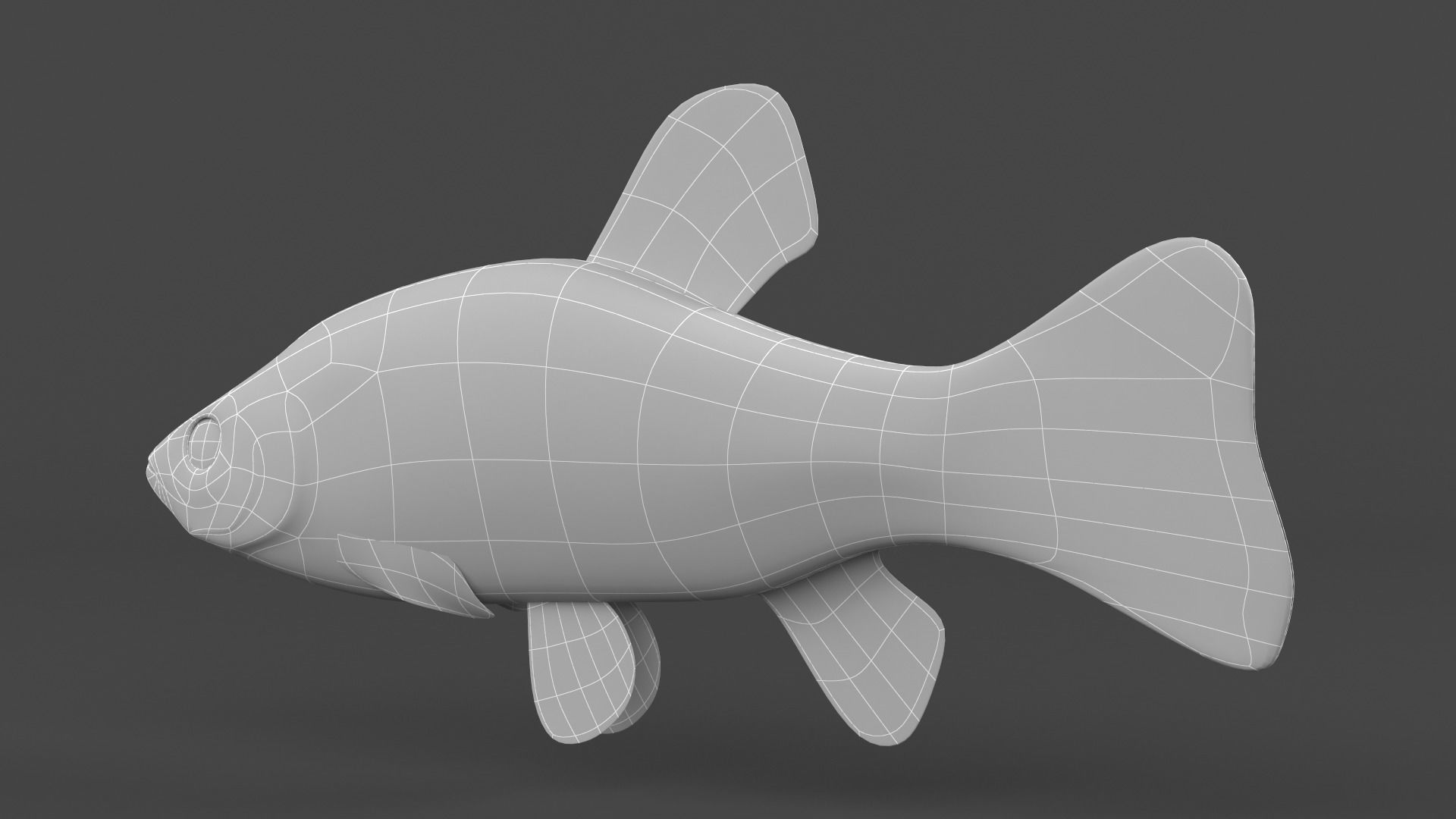 Tench Fish 3D model_11