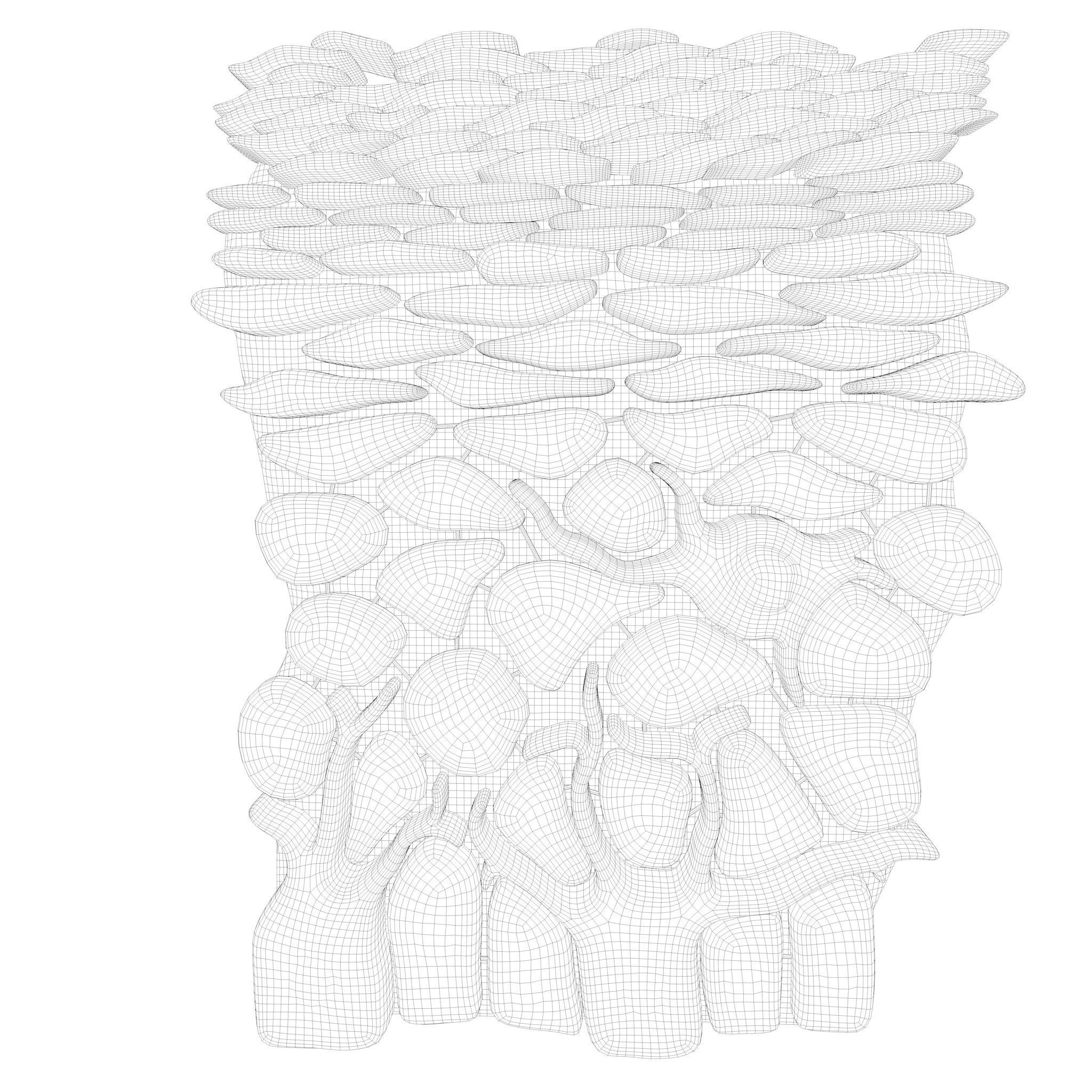 Epidermis Cross Section 3D model_8