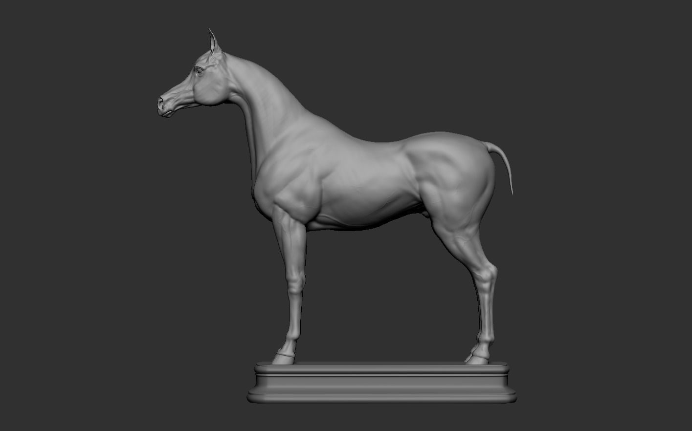 Arabian Horse 3D print model_11