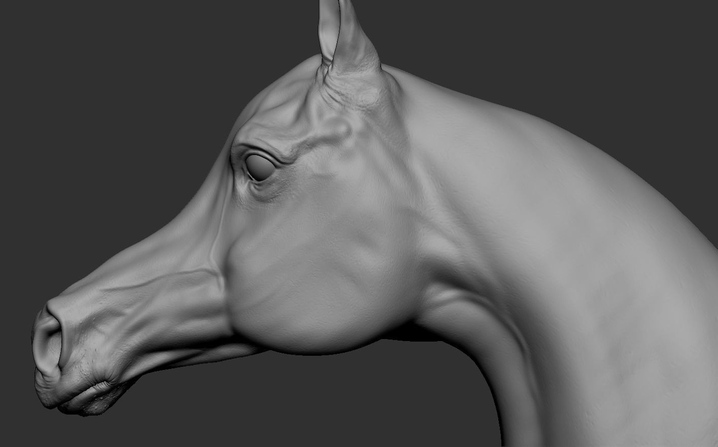 Arabian Horse 3D print model_17