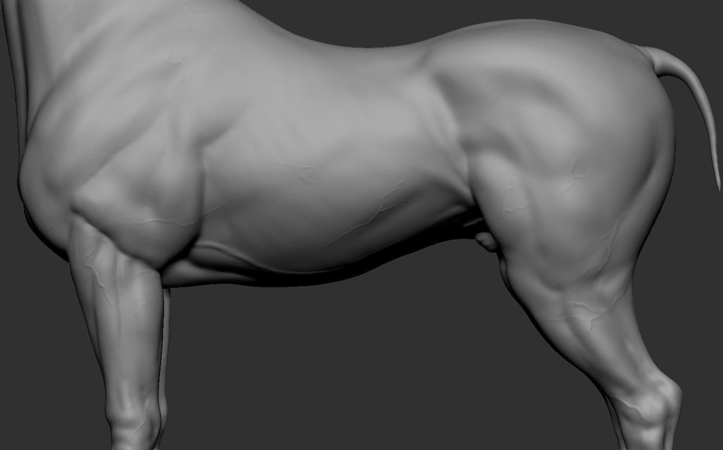 Arabian Horse 3D print model_16