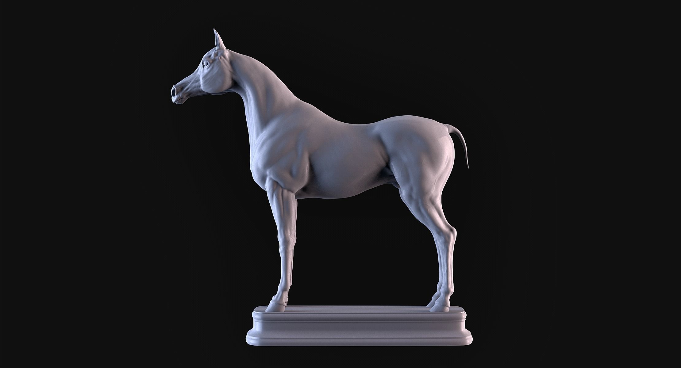 Arabian Horse 3D print model_5