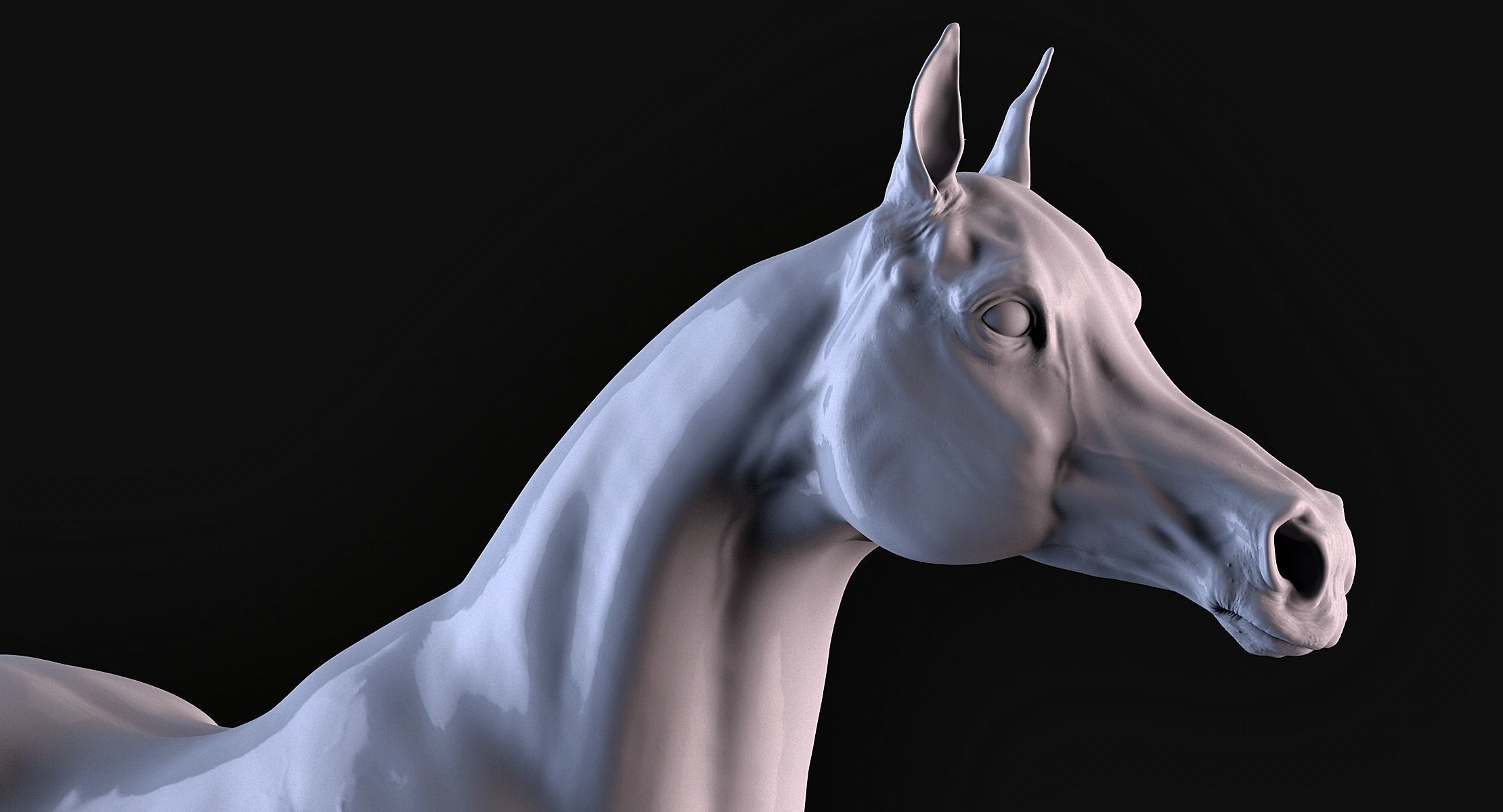 Arabian Horse 3D print model_9