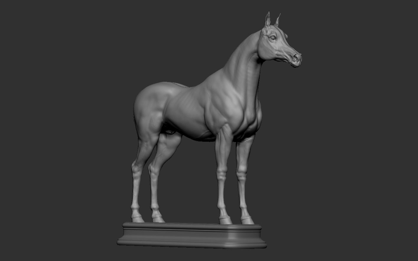 Arabian Horse 3D print model_13