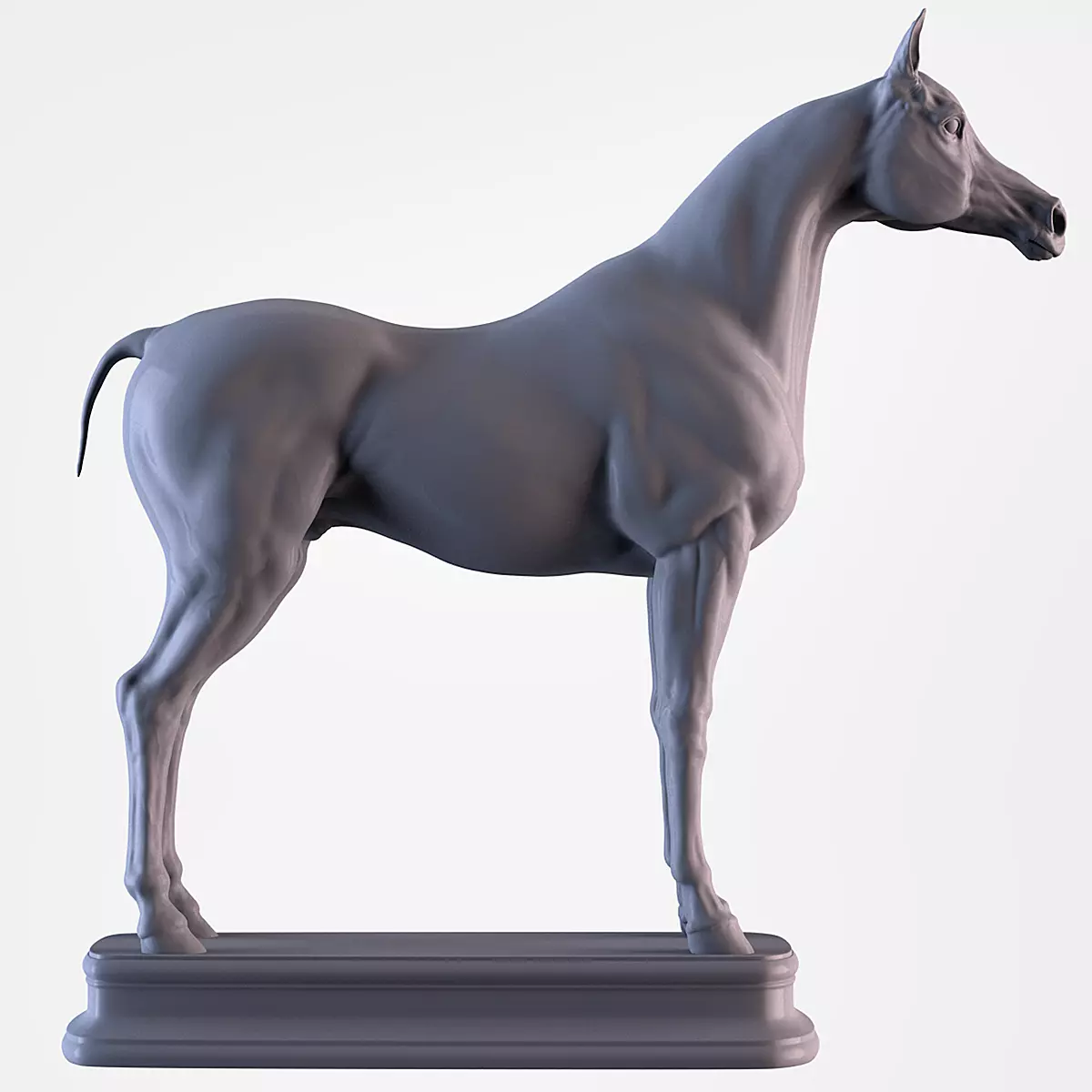 Arabian Horse 3D print model_0