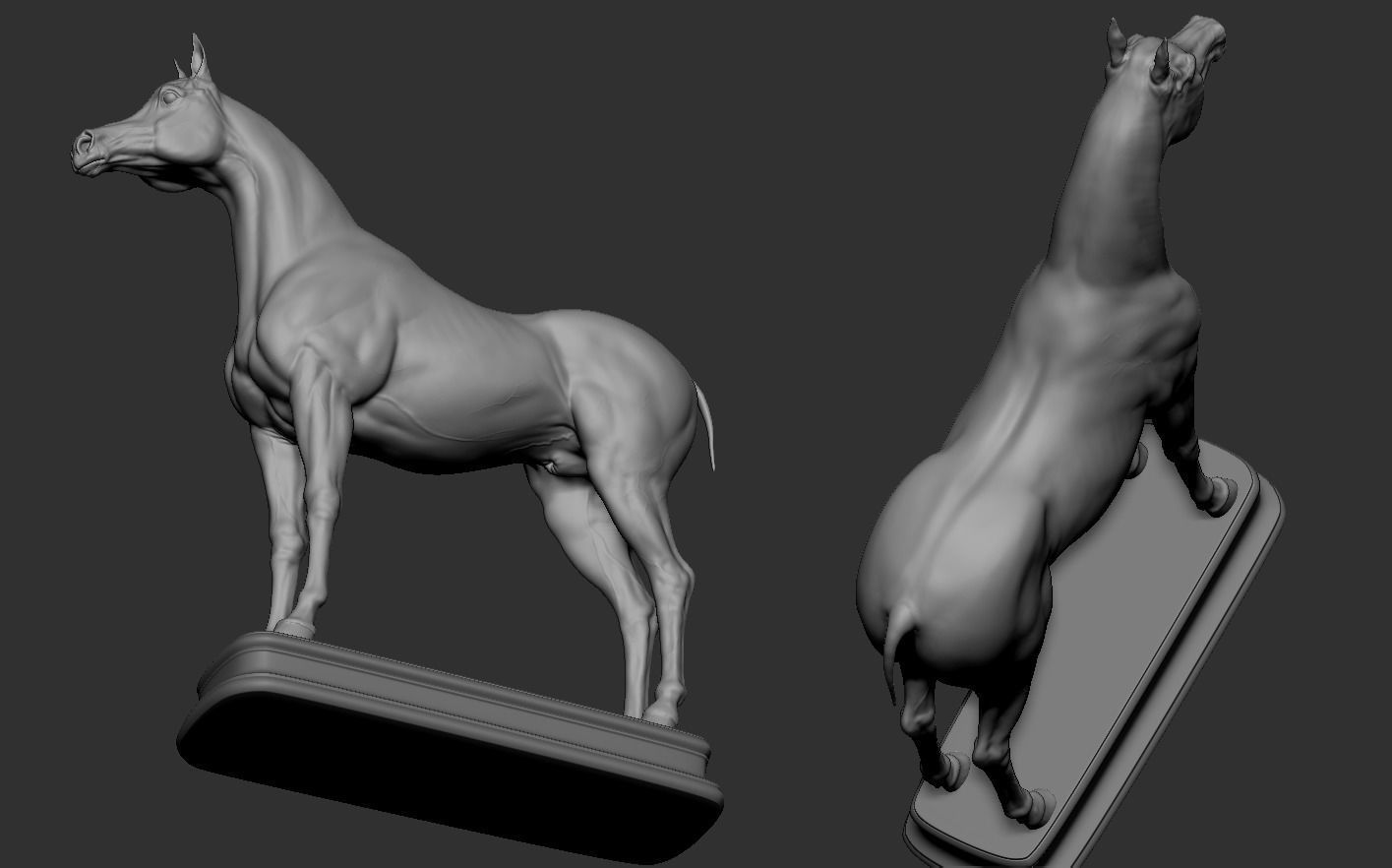 Arabian Horse 3D print model_15