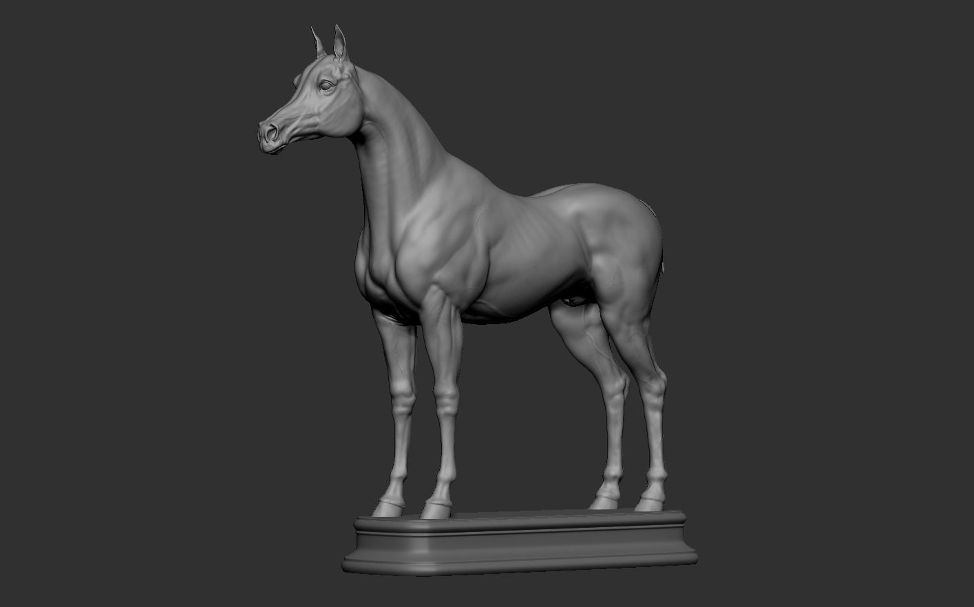 Arabian Horse 3D print model_12