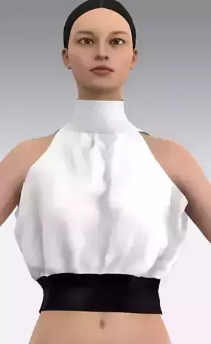 black and white color block  Low-poly 3D model