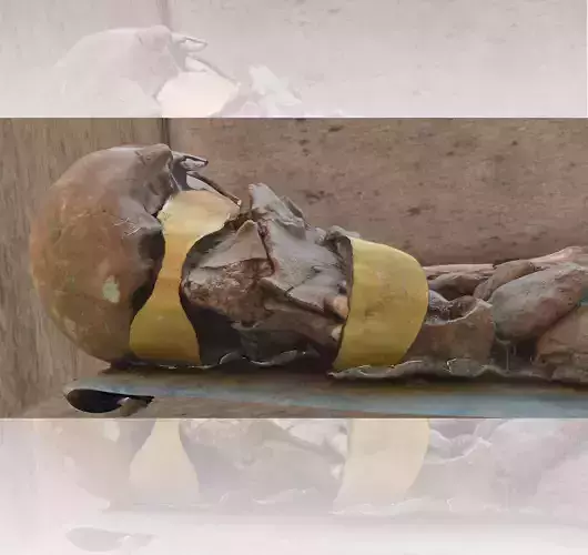 ANCIENT HUMAN SKELETON Low-poly 3D model