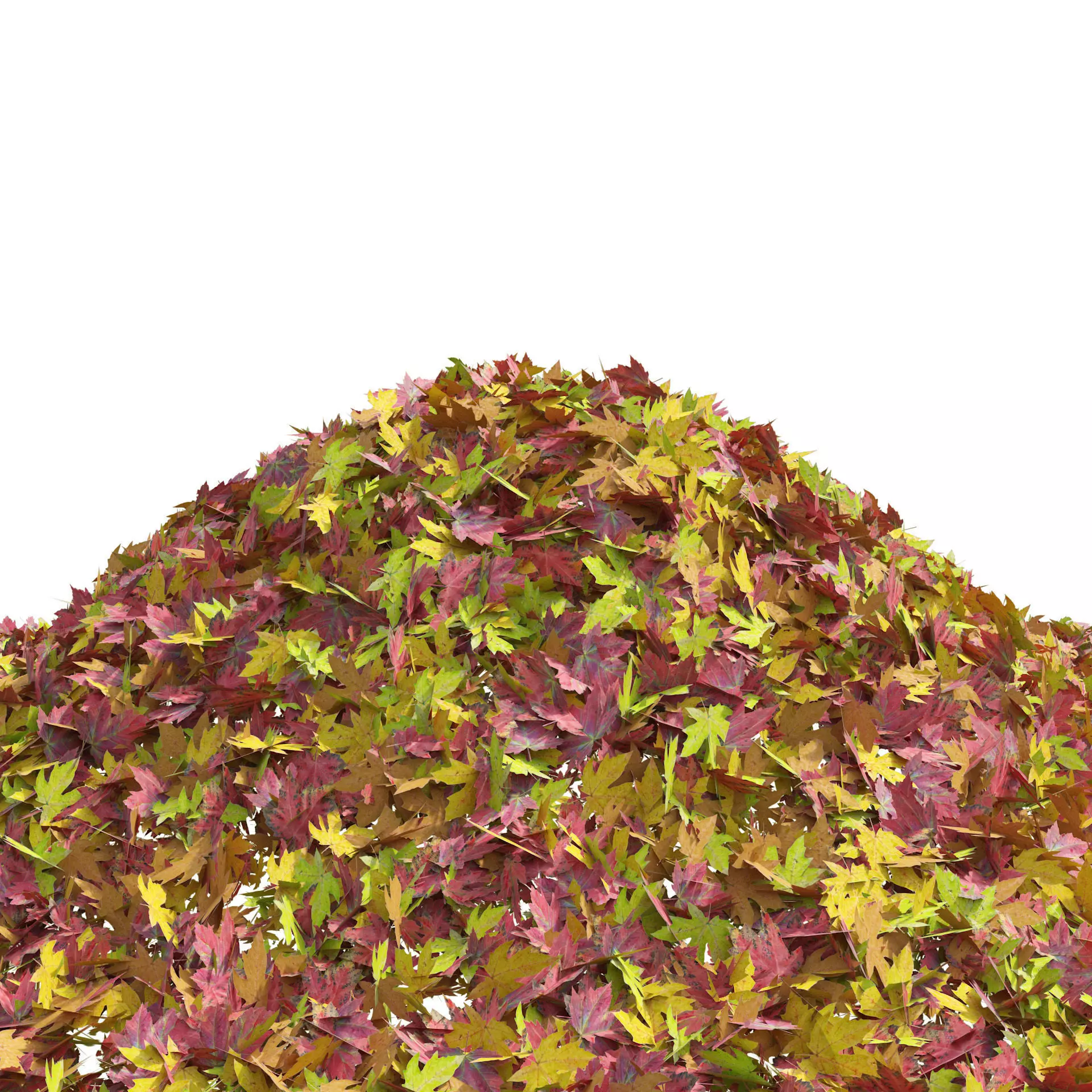 Mountain Maple Leafpile Low-poly 3D model_0
