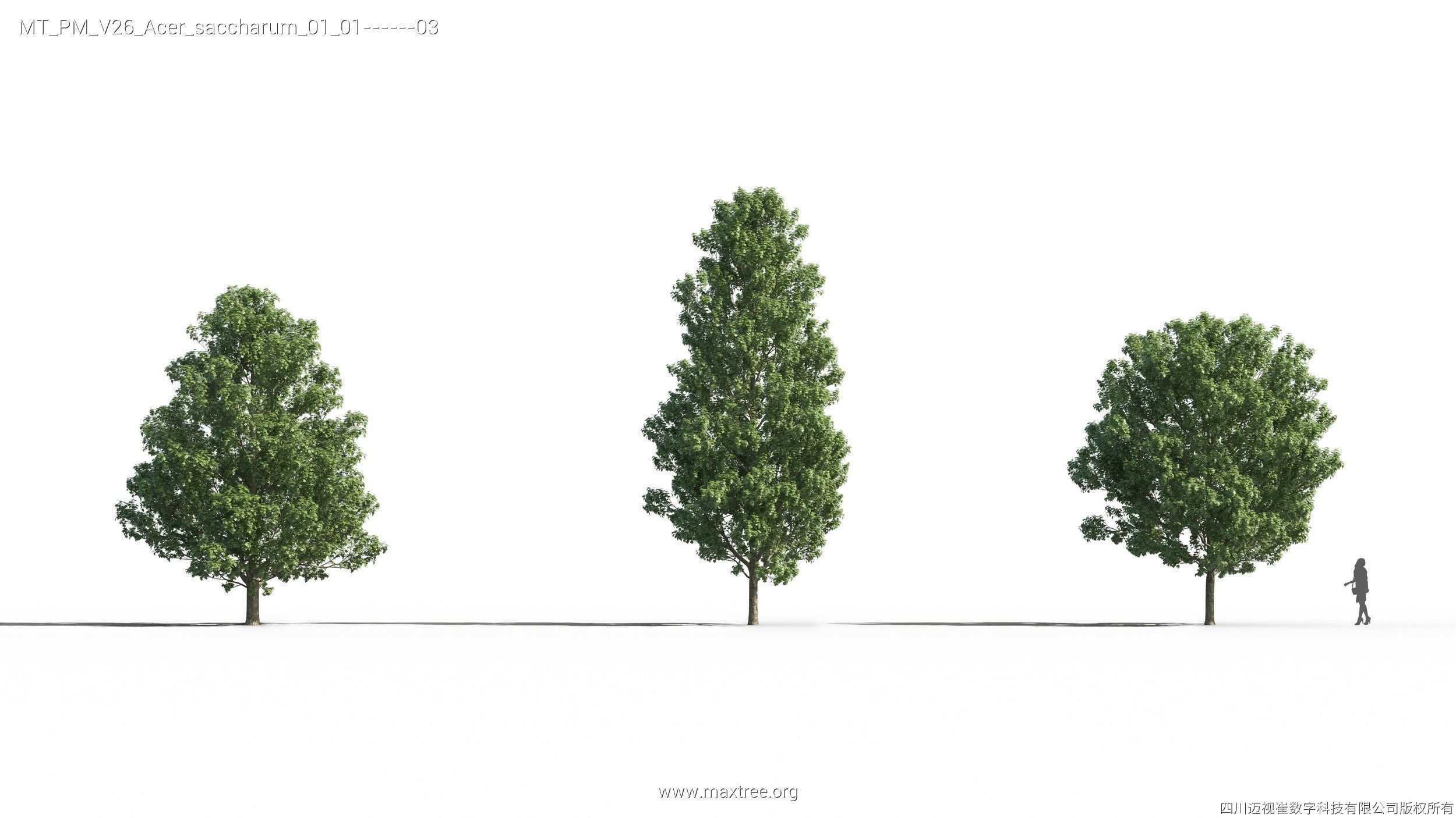 Maxtree Plant Models Vol 26 - Mesh 3D model_20