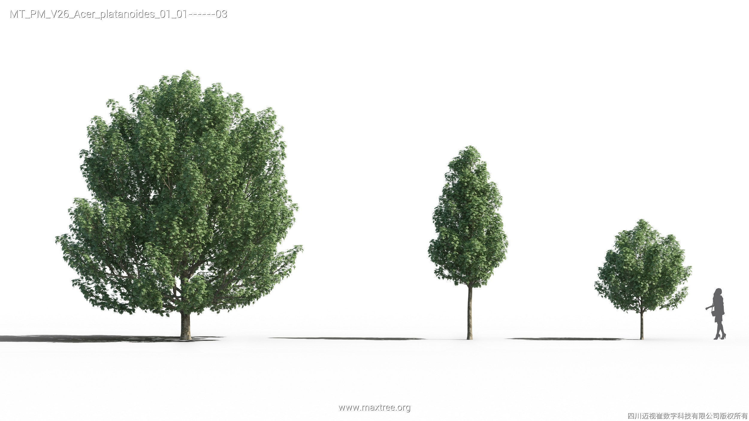 Maxtree Plant Models Vol 26 - Mesh 3D model_18