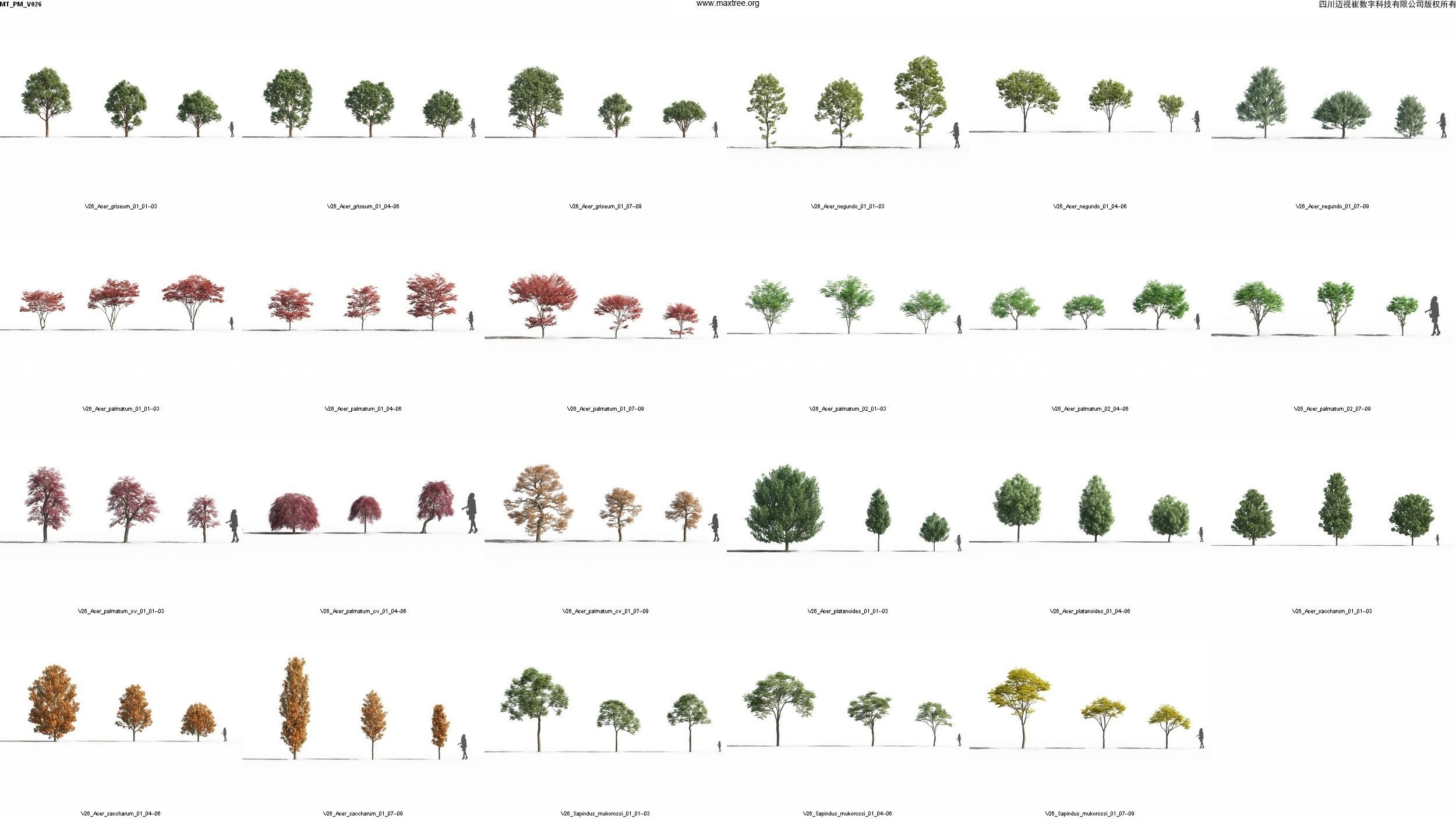 Maxtree Plant Models Vol 26 - Mesh 3D model_2