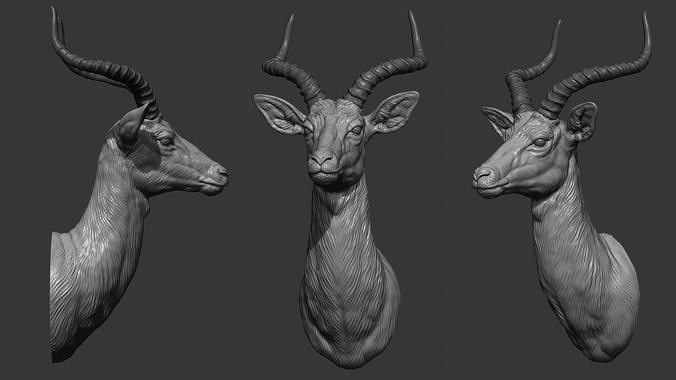 Impala Antelope bust 3D print model