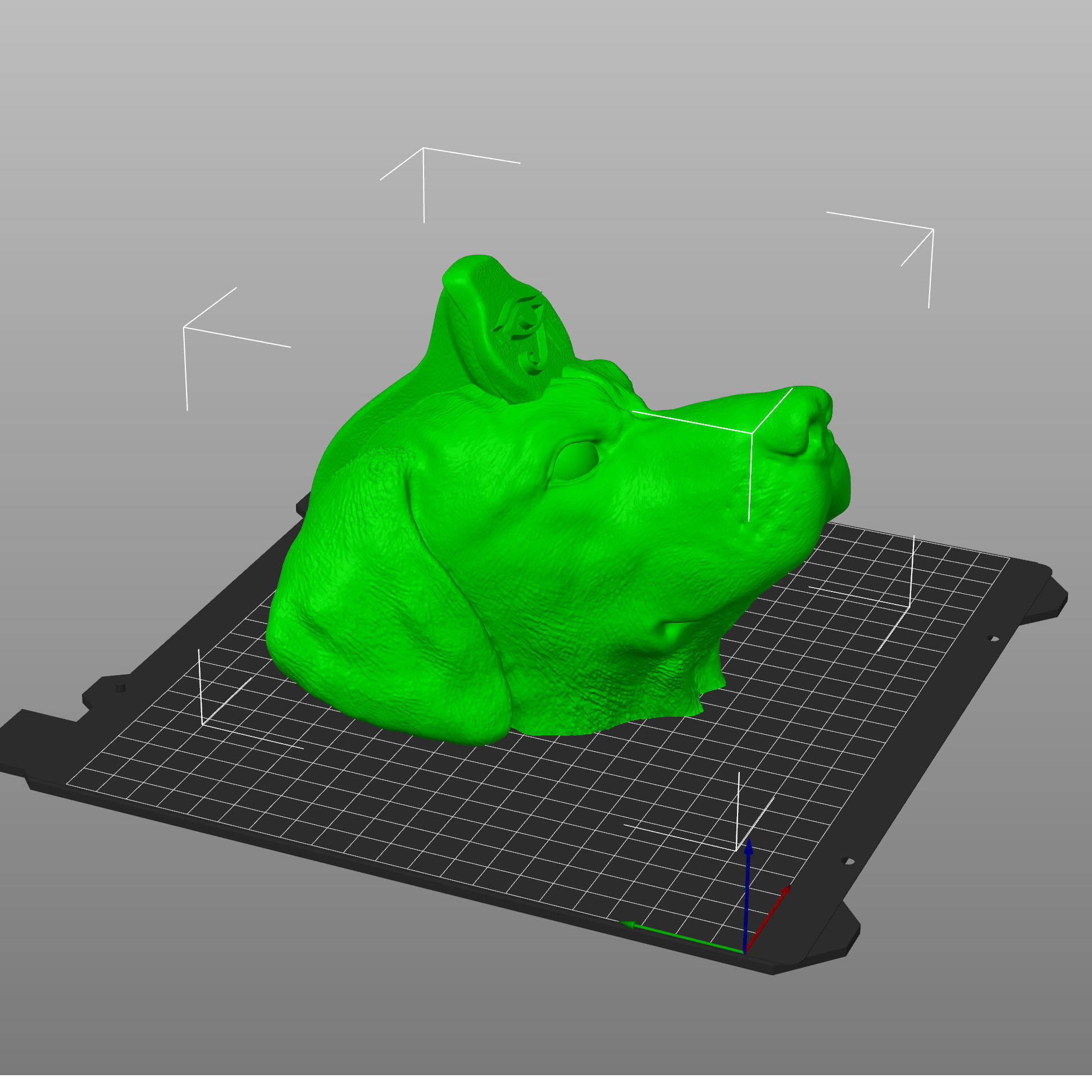 Dog Rhodesian Ridgeback 3D print model_3