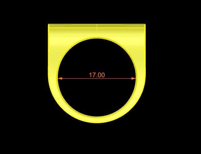 Woman Ring special Model 3D Model 3D print model_14