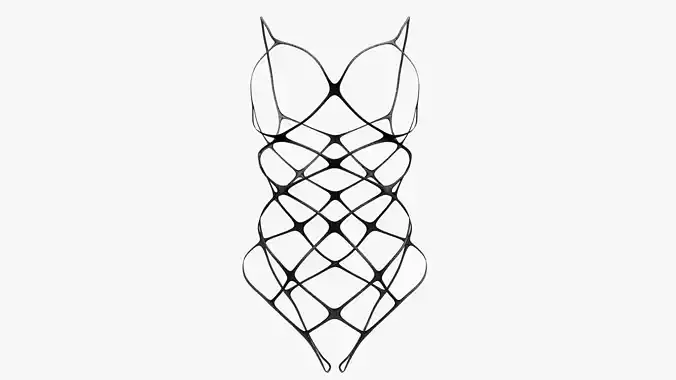 Lingerie mesh bodysuit