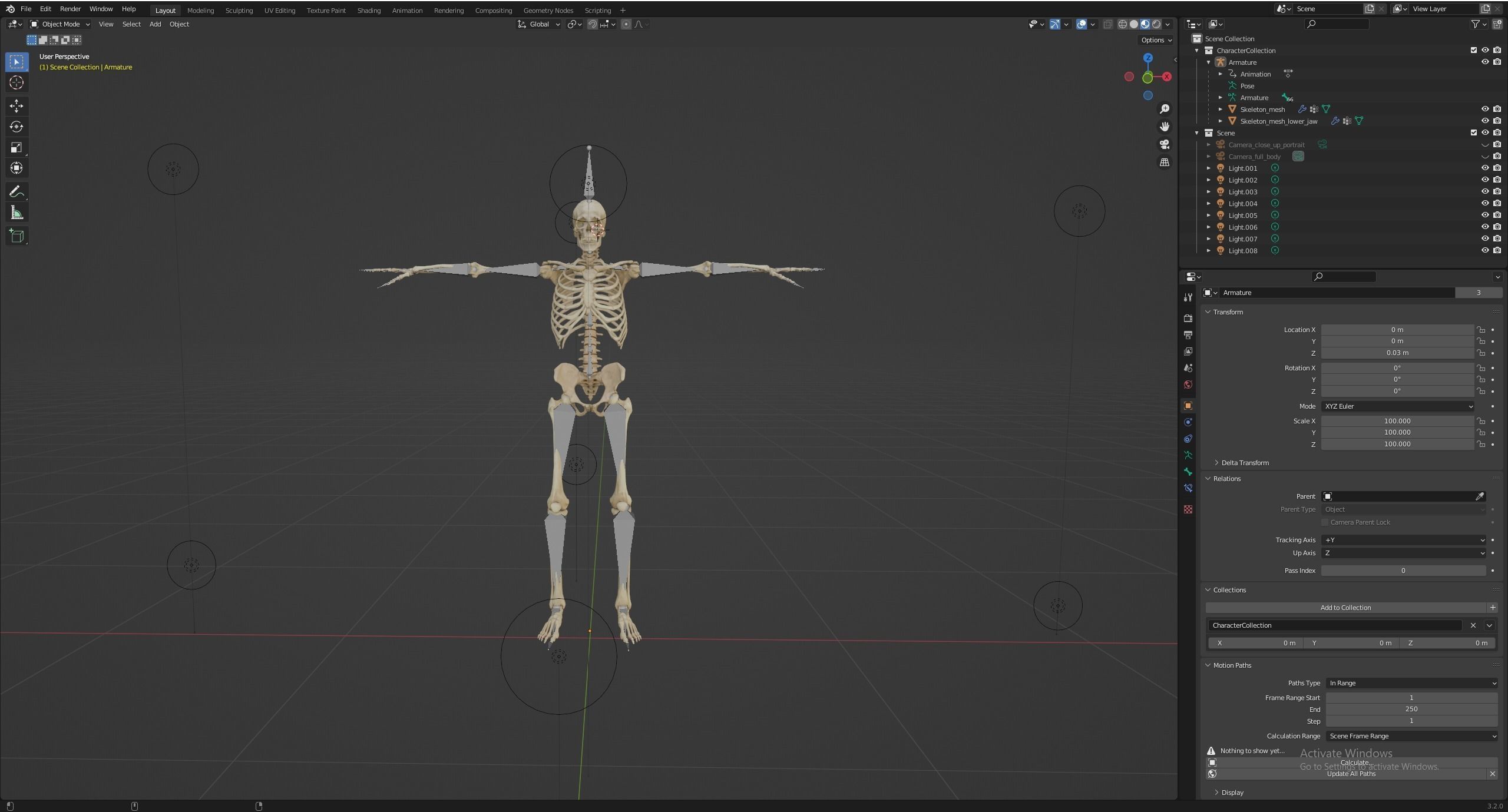 HUMAN SKELETON Low-poly 3D model_6