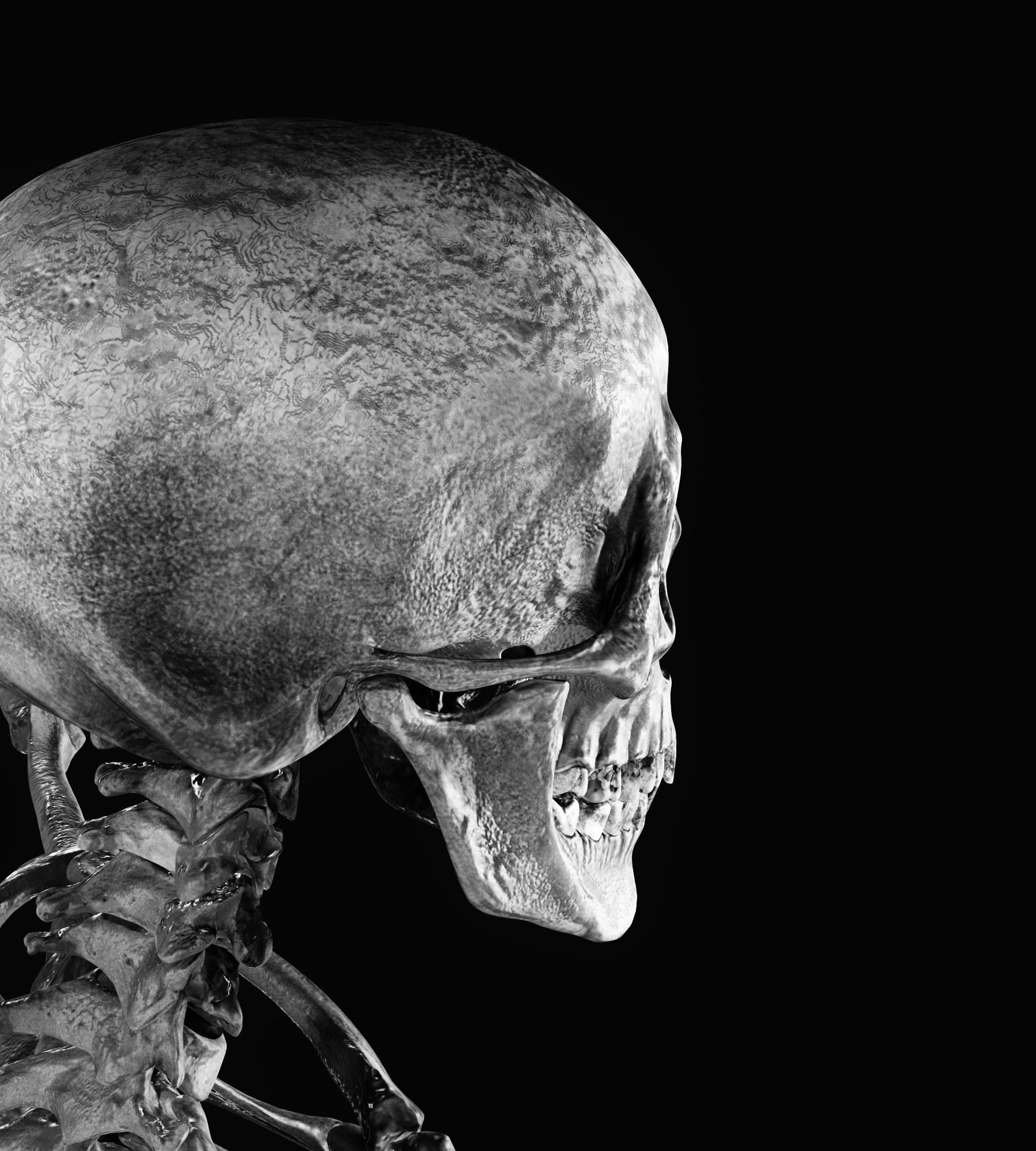 HUMAN SKELETON Low-poly 3D model_3