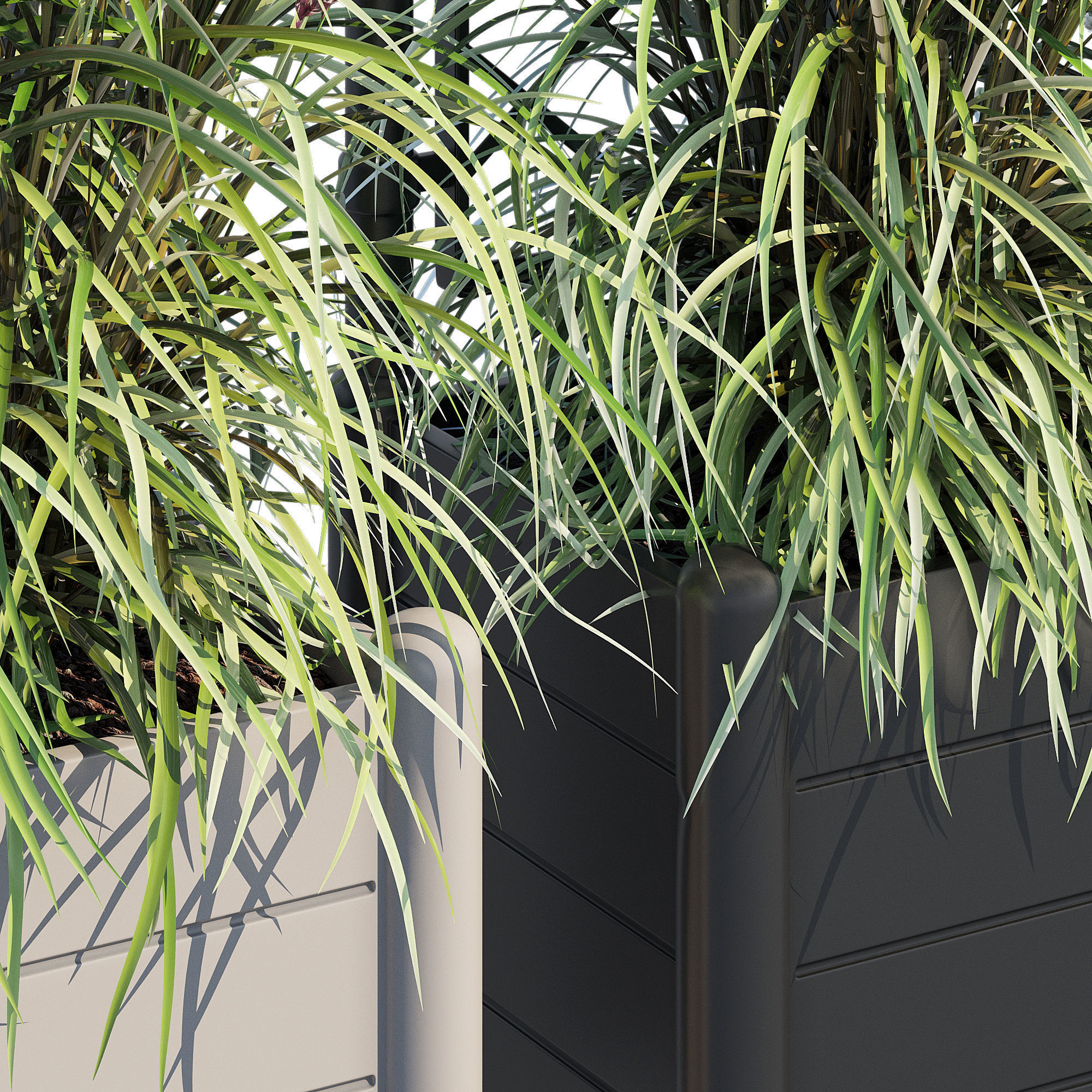 Savannah garden planter with flowers and grasses 3D model_4