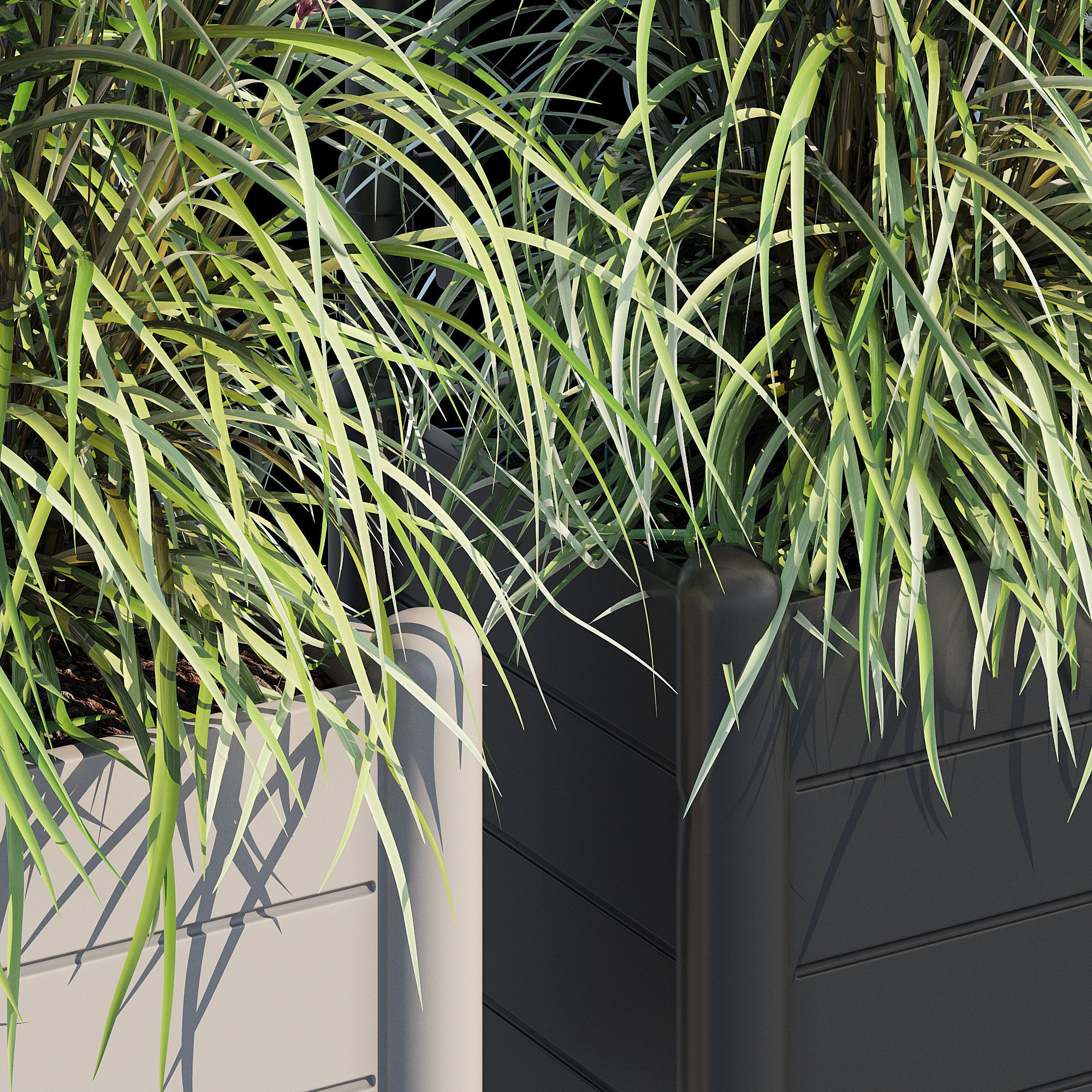 Savannah garden planter with flowers and grasses 3D model_11