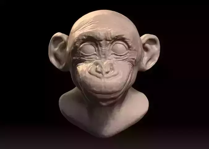 Bust of a Baby Chimpanzee