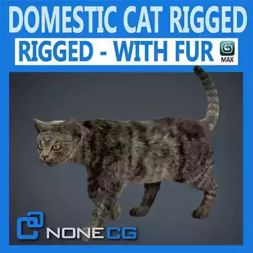 Rigged Domestic Cat 3D model