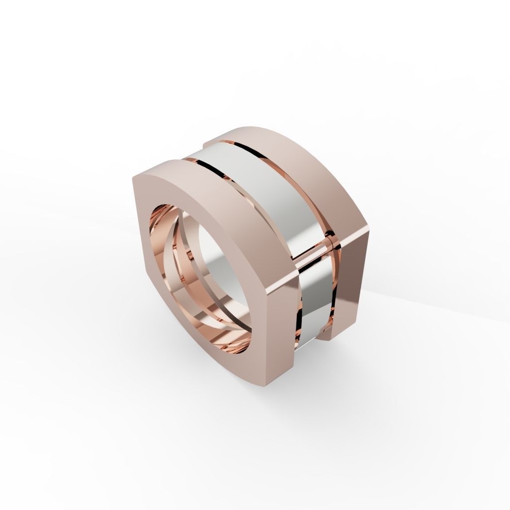 Ring Special Model Unisex Model 3D MODEL 3D print model_14