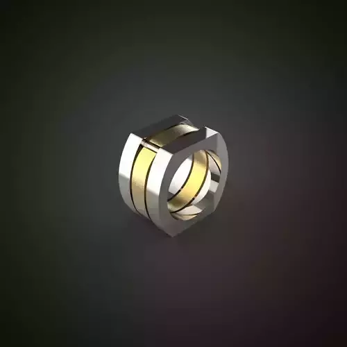 Ring Special Model Unisex Model 3D MODEL