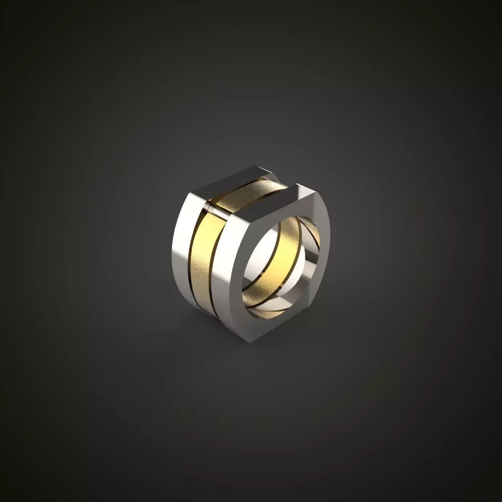 Ring Special Model Unisex Model 3D MODEL 3D print model_0